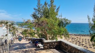 2024-01-Paseo_Costa_Canaria-San_Agustin-Ingles-155.jpg